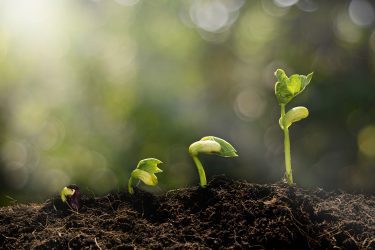 What industry is the fastest growing?