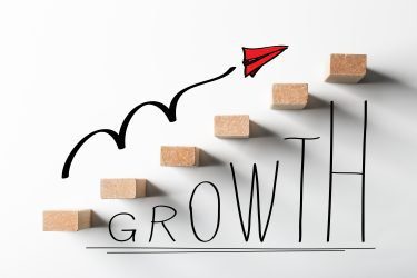 Which business will grow in future?