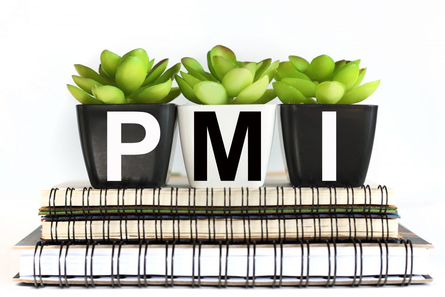 What does PMI stand for in finance?