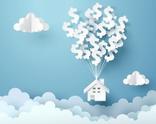 asset protection
