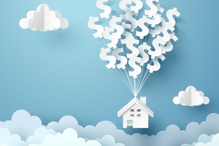 asset protection