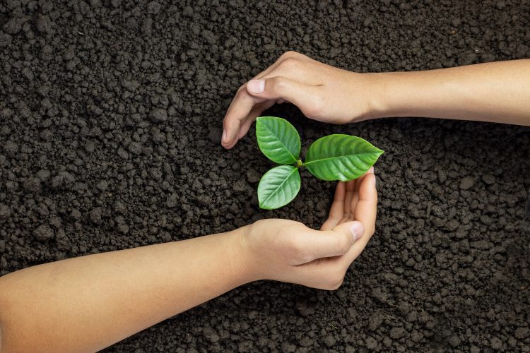 sustainability