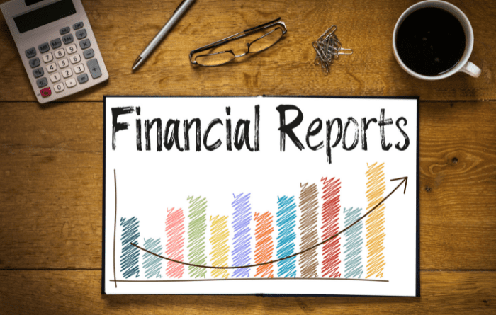 unlimited liability financial reports