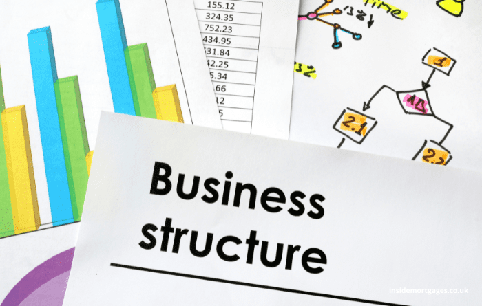 company structure