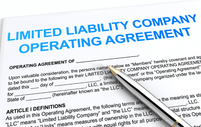 Limited Company Business Structure Overview