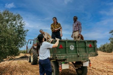 People farming standing on green truck in hay field