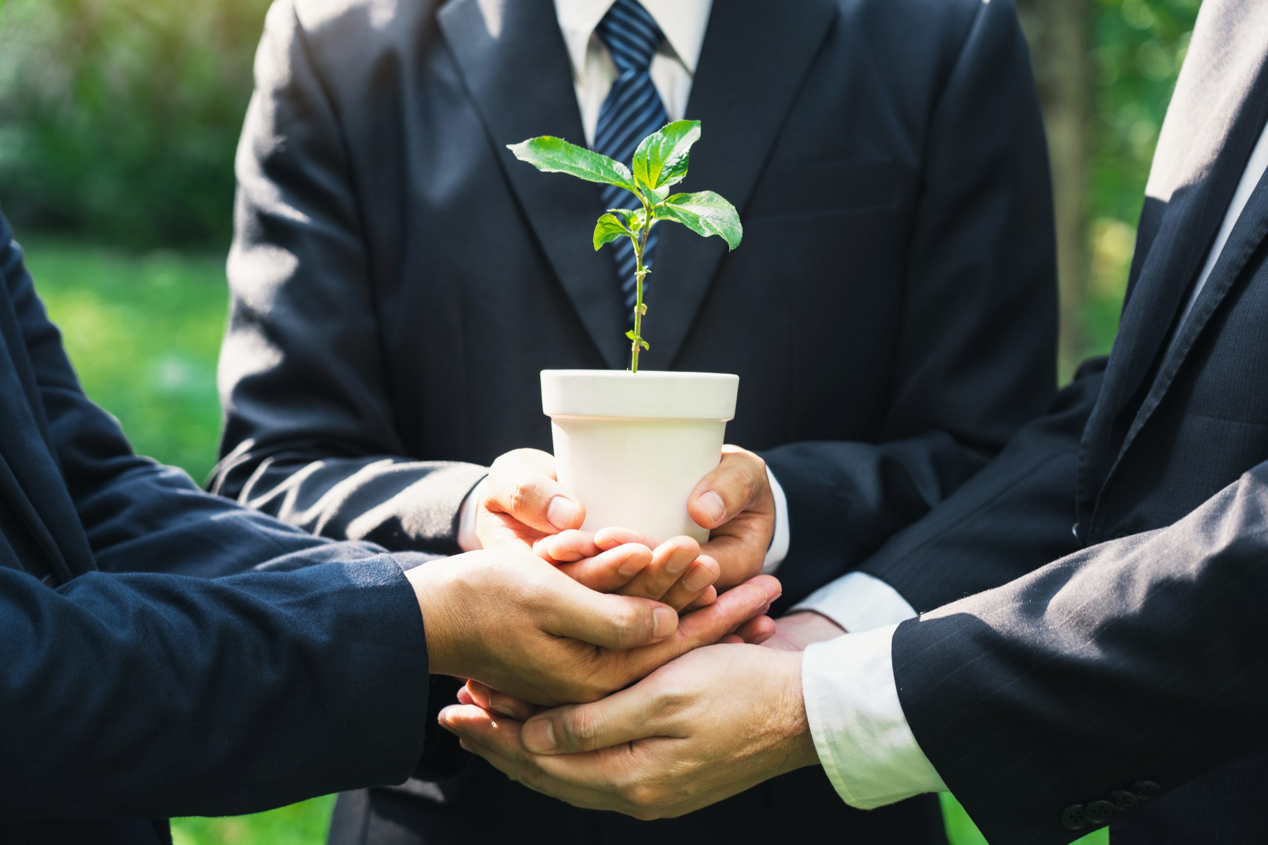 Scaling Your Business: Key Steps for Sustainable Growth