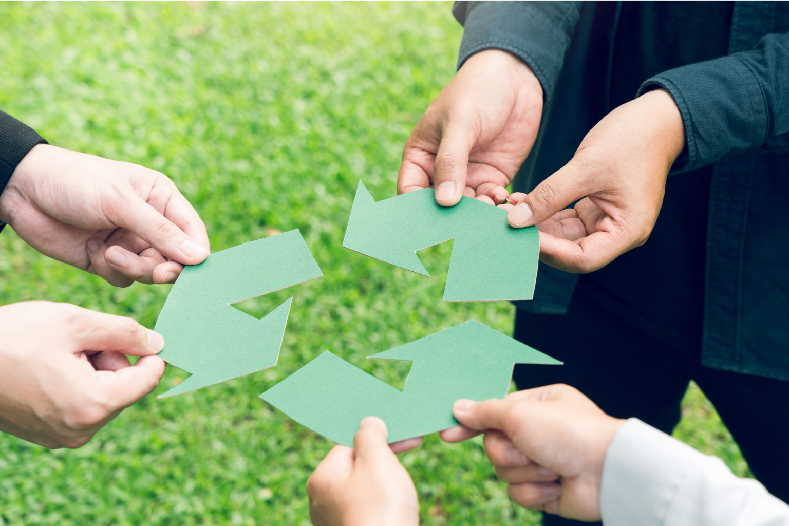 10 ways to go greener in your business